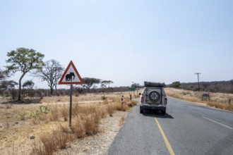 Car next to road sign, attention elephants, Botswana