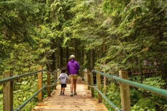 Mother and son walking along the hemlock grove boardwalk, soaking in the vibrant greenery of the