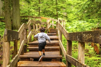 Young boy running up wooden stairs surrounded by lush green forest on giant cedars boardwalk trail