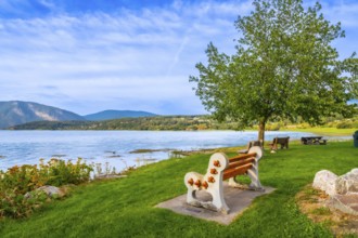 Scenic view of shuswap lake with a bench in the foreground, surrounded by lush green grass, trees,