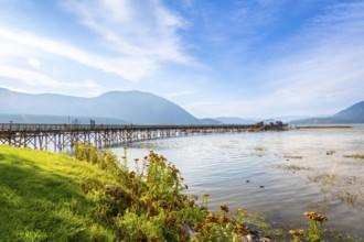 Long wooden pier stretching into the calm waters of shuswap lake, surrounded by mountains and lush