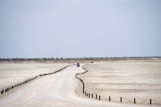 Road on the Etosha pan, salt pan, Etosha National Park, Namibia