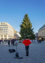 Street musician with violin at Brandenburg Gate, daylight photo, Berlin, Germany