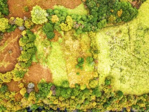 Top Down view of Autumn colours over River Wye and Road A470 from a drone, Llanidloes, Powys,