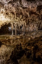 Stalactites and stalagmites, rock formations in a stalactite cave, Grotta del Fico, Gulf of Orosei,