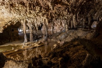 Stalactites and stalagmites, rock formations in a stalactite cave with water basin, Grotta del