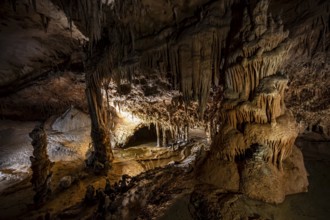 Stalactites and stalagmites, rock formations in a stalactite cave, Grotta del Fico, Gulf of Orosei,
