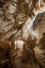 Stalactites and stalagmites, rock formations in a stalactite cave, Grotta del Fico, Gulf of Orosei,