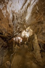 Stalactites and rock formations in a stalactite cave, Grotta del Fico, Gulf of Orosei, Baunei,