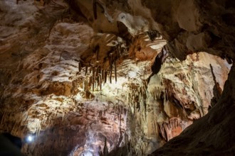 Stalactites and stalagmites, rock formations in a stalactite cave, Grotta del Fico, Gulf of Orosei,