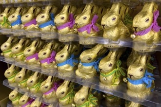 Chocolate bunnies Chocolate Easter bunnies in cardboard sweets in retail, international