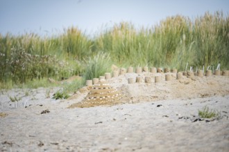 Sandcastle on the beach, small sandcastle in the foreground in front of overgrown dunes with beach