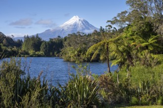 Lake Mangamahoe with views of Mount Taranaki. Egmont National Park, Taranaki Region, North Island,