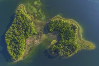 Aerial view, drone photo: Steinwerder and Bollenwerder islands, Carwitzer See, Carwitz, Feldberger