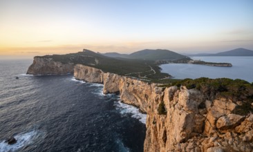 Coastal landscape at sunset, steep cliffs by the sea, cliffs in the evening light, Capo Caccia,
