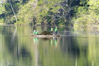 Women harvest seagrass, water channel in Angkor Thom, UNESCO World Heritage Site, Siem Reap,