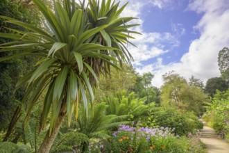 National Botanic Gardens, Kilmacurragh, Dunganstown, Co. Wicklow, Ireland