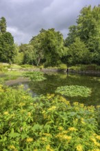 Pond, National Botanic Gardens, Kilmacurragh, Dunganstown, County Wicklow, Ireland