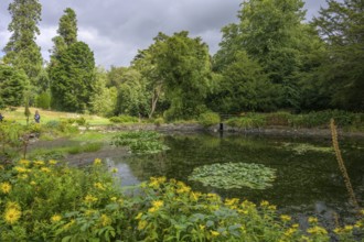 Pond, National Botanic Gardens, Kilmacurragh, Dunganstown, County Wicklow, Ireland