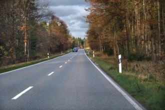 Country road leads through an autumn forest, Kalchreuth, Middle Franconia, Bavaria, Germany