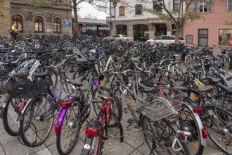 Bicycle parking lot in front of the train station, Erlangen, Middle Franconia, Bavaria, Germany