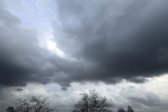 Large grey cloud roller Stratocumulus cluster layer cloud during high winter conditions,
