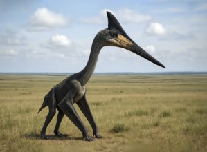 A dinosaur, a Quetzalcoatlus, in the prehistoric steppe, fossil, extinct, prehistoric, Cretaceous,