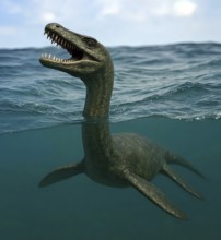 A dinosaur, a plesiosaurus in ocean water, fossil, extinct, prehistoric, Cretaceous, dinosaur,