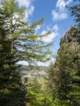 Rocks in the forest with a view of Oybin, Zittau Mountains, things, Germany