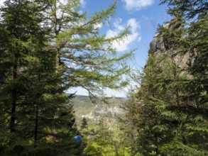 Rocks in the forest with a view of Oybin, Zittau Mountains, things, Germany