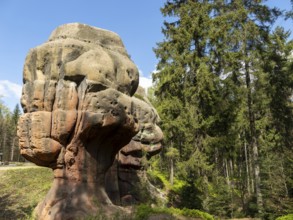 Rocks in the forest, sandstone rocks, chalice stones, Zittau Mountains, things, Germany