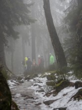 Hiking group on winter trail with fog, Zittau Mountains, Germany
