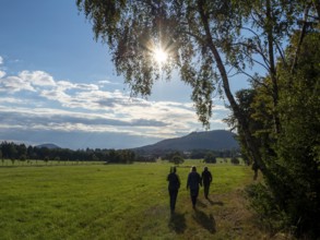 Hiker on sunny trail at Wiesenrand, Lückendorf, Zittau Mountains, Saxony, Germany
