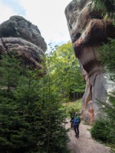 Rocks in the forest and hikers, sandstone rocks, chalice stones, Zittau Mountains, things, Germany