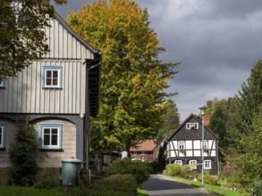 Fachwerkhäuser, Umgebindehäuser an Dorfstraße, Lückendorf, Zittau Mountains, Germany