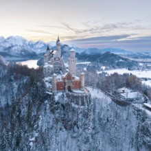 Fairytale castle Neuschwanstein in a wintry landscape with pastel-coloured sky and mountains,