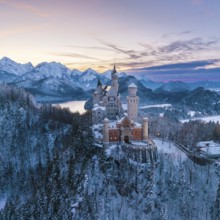 Neuschwanstein Castle in winter surroundings at sunset, Schwangau near Füssen, Ostallgäu, Allgäu,