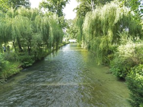 Schwabinger Bach, Englischer Garten, Munich, Bavaria, Germany