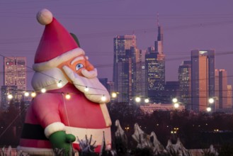 In a Christmas tree center near Frankfurt am Main, a multi-metre-high inflated figure of Santa
