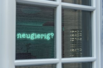 Window, lettering Curious