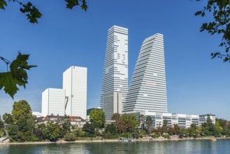 Roche Tower on the Rhine in Basel