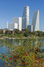 Roche Tower on the Rhine in Basel