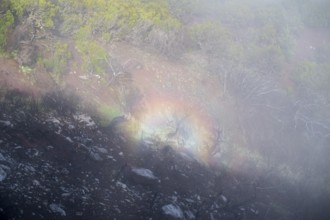 Fog thins, halo, ring of light, atmospheric phenomenon, mountains, Madeira, Portugal