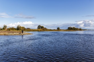 Anglers on the riverbank, river landscape near Bitter, Neuhaus district, Elbe floodplain in Lower
