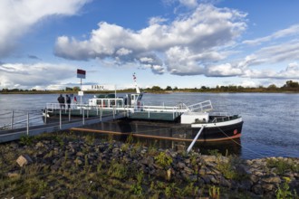 Ferry on a jetty, banks of the Elbe, river landscape, Hitzacker, Lüchow-Dannenberg, Wendland, Elbe