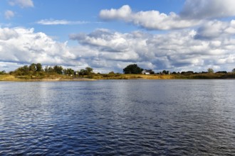 Riverside, river landscape near Amt Neuhaus, Elbe, Lower Saxon Elbe floodplain, Germany