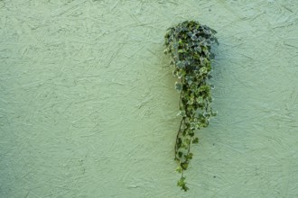 Flower pot on a green construction fence, playhouse on the Gendarmenmarkt, Berlin, Germany
