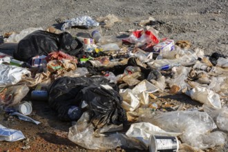 Recyclable plastic, paper and cardboard items discarded on the ground in public park, Quebec,