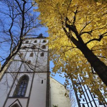 Jakobikirche im Herbst, Lippstadt, North Rhine-Westphalia, Germany