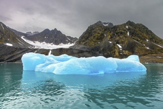 Ice floes calved from Lilliehöökbreen glacier drifting in the Lilliehöökfjorden, fjord branch of